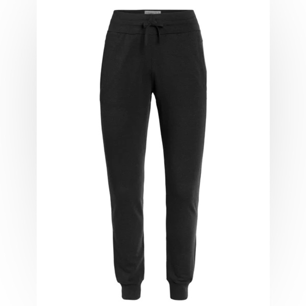 NWOT Icebreaker Crush pants-M